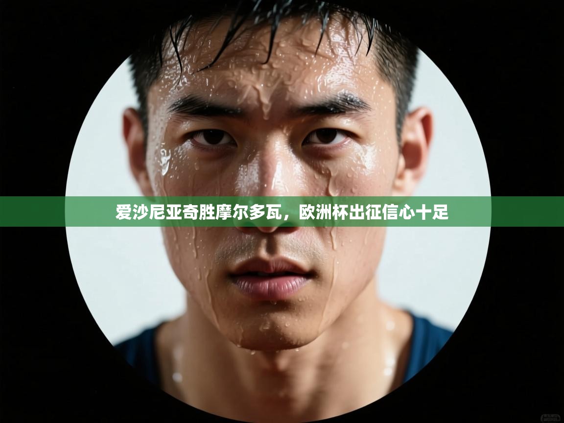 问鼎娱乐在线网址-爱沙尼亚奇胜摩尔多瓦,欧洲杯出征信心十足 第2张