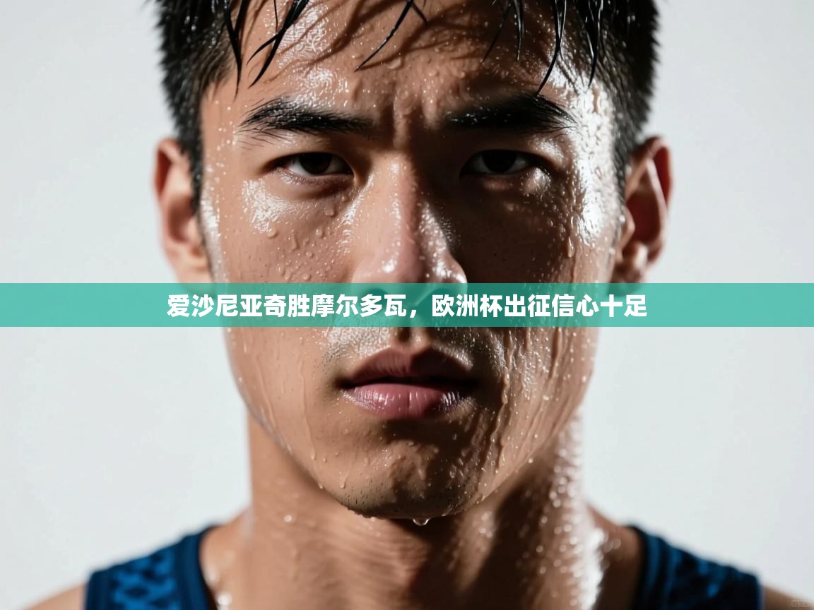 问鼎娱乐在线网址-爱沙尼亚奇胜摩尔多瓦,欧洲杯出征信心十足 第1张