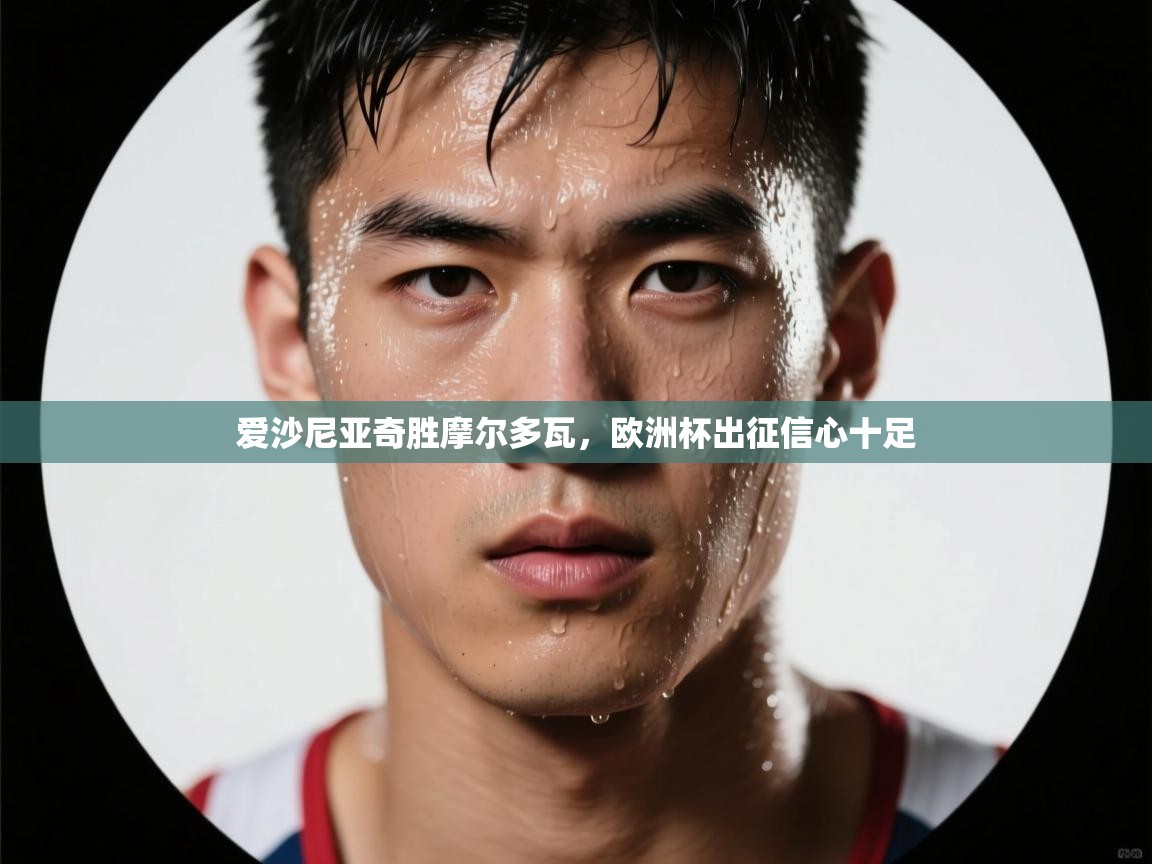 问鼎娱乐在线网址-爱沙尼亚奇胜摩尔多瓦,欧洲杯出征信心十足 第3张