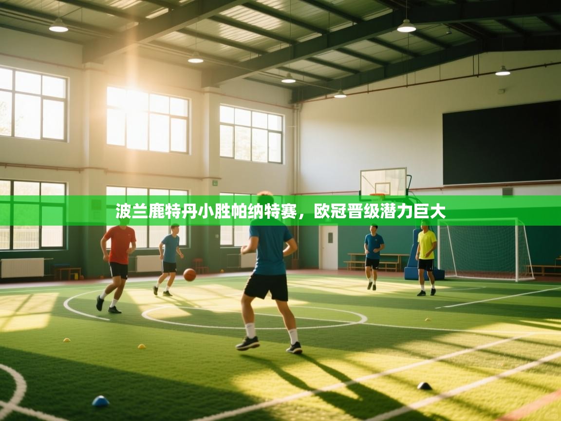 问鼎体育app官方网站入口-波兰鹿特丹小胜帕纳特赛，欧冠晋级潜力巨大  第1张