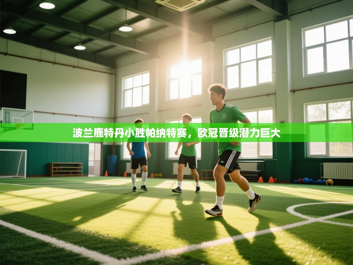 问鼎体育app官方网站入口-波兰鹿特丹小胜帕纳特赛，欧冠晋级潜力巨大  第2张