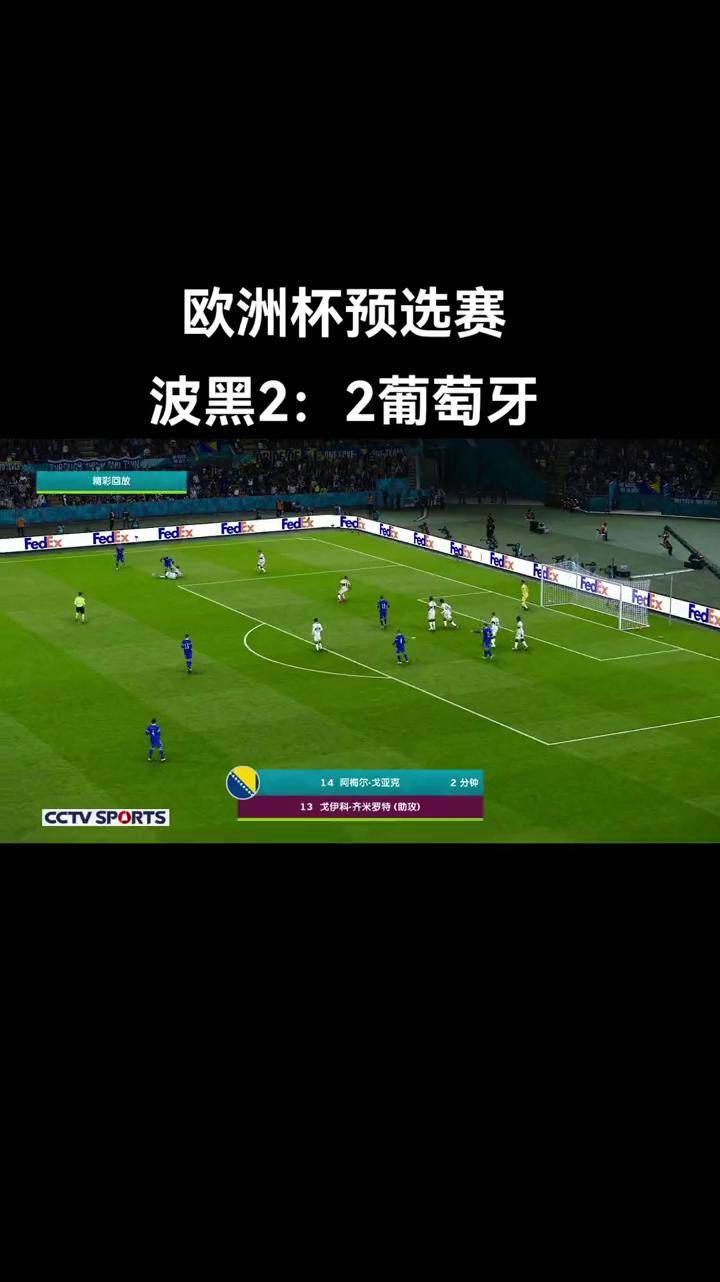 包含欧预赛：波黑负于外助沉重出局模式恶化球迷失望的词条